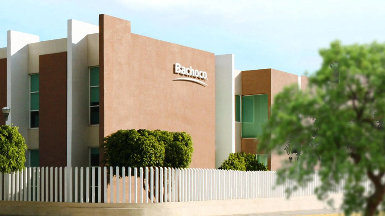 Bachoco